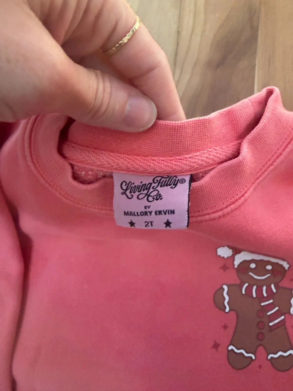Kids’ Coral Gingerbread Crewneck Sweatshirt